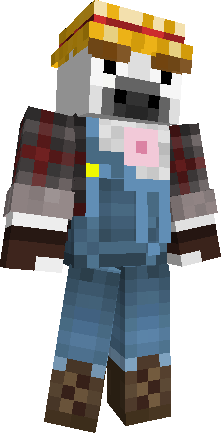 tnt_koning's skin