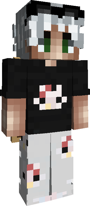 Skin Joueur