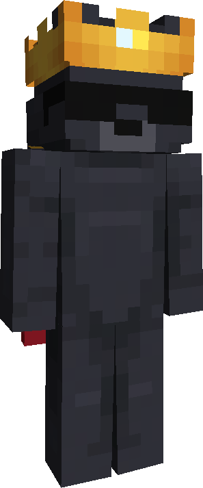 Skin Joueur