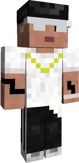 Skin Joueur