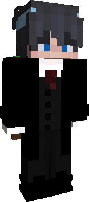 Skin Joueur