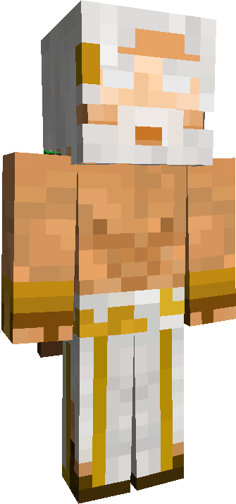 Skin Joueur