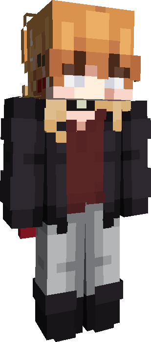 Skin Joueur