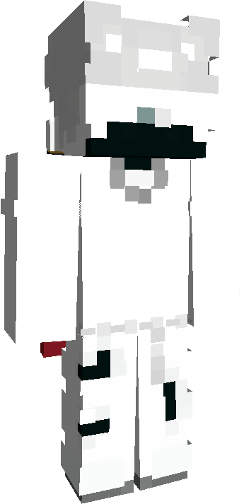 Skin Joueur