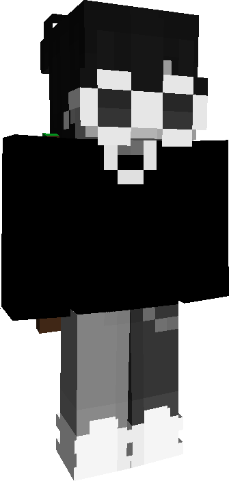 Skin Joueur