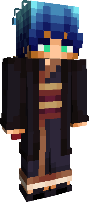 Skin Joueur